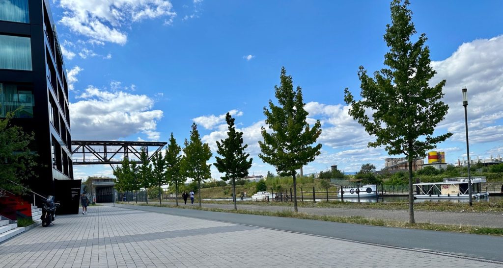 eine wunderschöne Aussicht auf die Natur